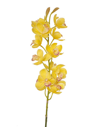 ORQ. CYMBIDIUM HASTE 78CM AMARELA Cod: 3193-AM