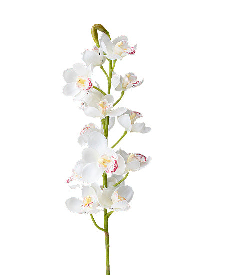 ORQ. CYMBIDIUM HASTE 78CM BRANCA Cod: 3193-BR*