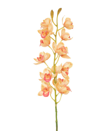 ORQ. CYMBIDIUM HASTE 78CM LARANJA Cod: 3193-LA