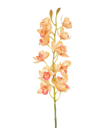 ORQ. CYMBIDIUM HASTE 78CM LARANJA Cod: 3193-LA