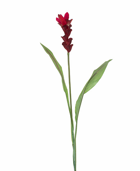 CURCUMA UNIT 84 CM VM Cod: 3230-VM