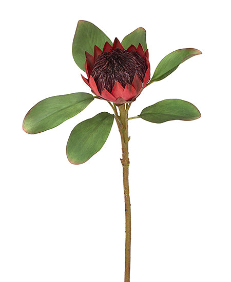 PROTEA UNIT 65CM VM CL Cod: 3231