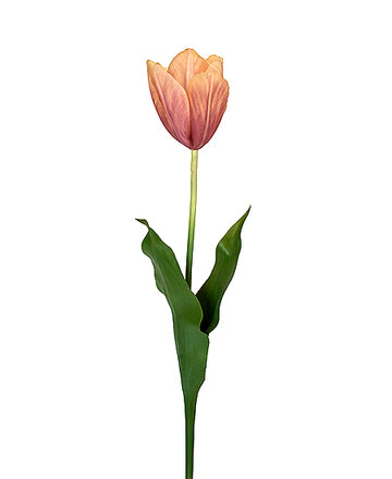 TULIPA HOLANDESA 58 CM  AM Cod: 3234-AO