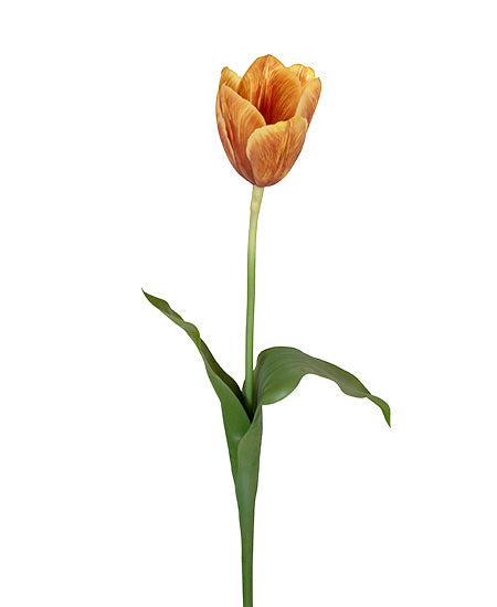 TULIPA HOLANDESA 58CM MOSTARDA Cod: 3242