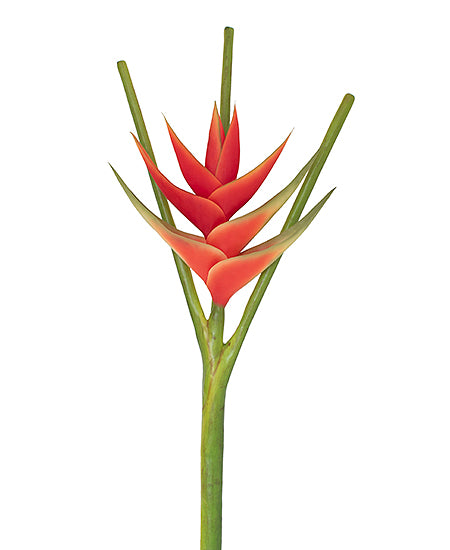 HELICONIA VM/LARANJA 113CM Cod: 3248-VL