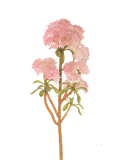 SEDUM GALHO 30CM ROSA Cod: 3251-RO