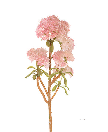 SEDUM GALHO 30CM ROSA Cod: 3251-RO