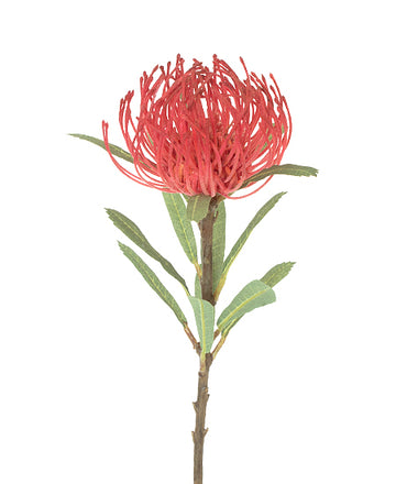 PROTEA VM 46CM Cod: 3251VM