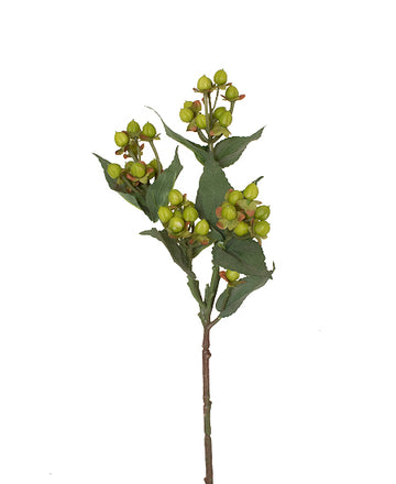 HYPERICUM 48CM VERDE Cod: 3252-VD