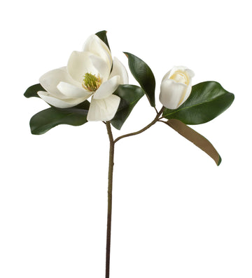 MAGNOLIA HASTE X2 67CM Cod: 3260