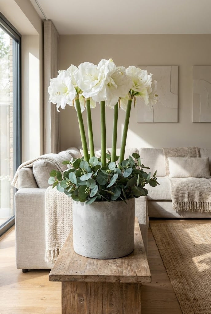 AMARYLLIS 65CM BRANCA Cod: 3266-BR*