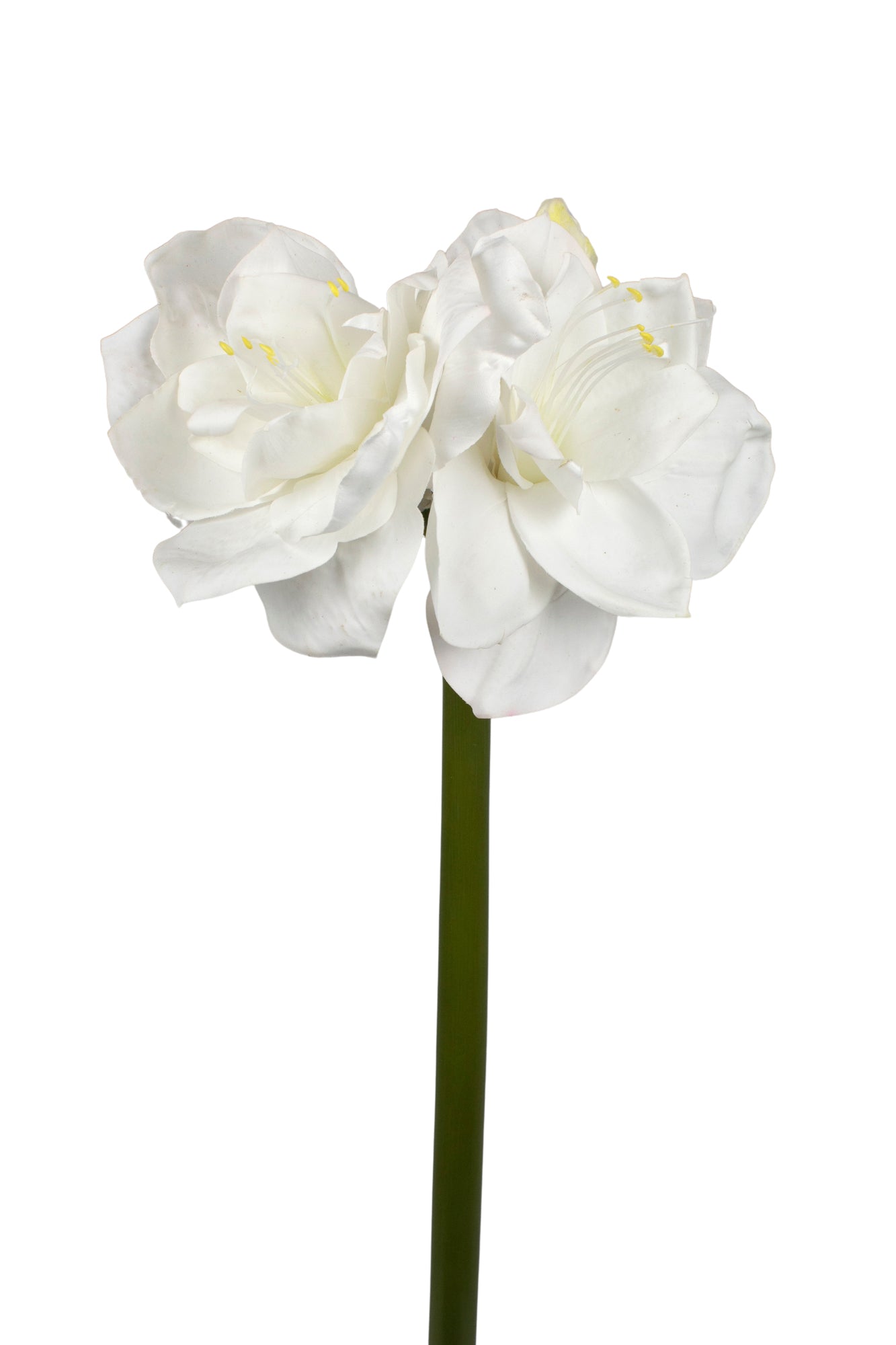 AMARYLLIS 65CM BRANCA Cod: 3266-BR*