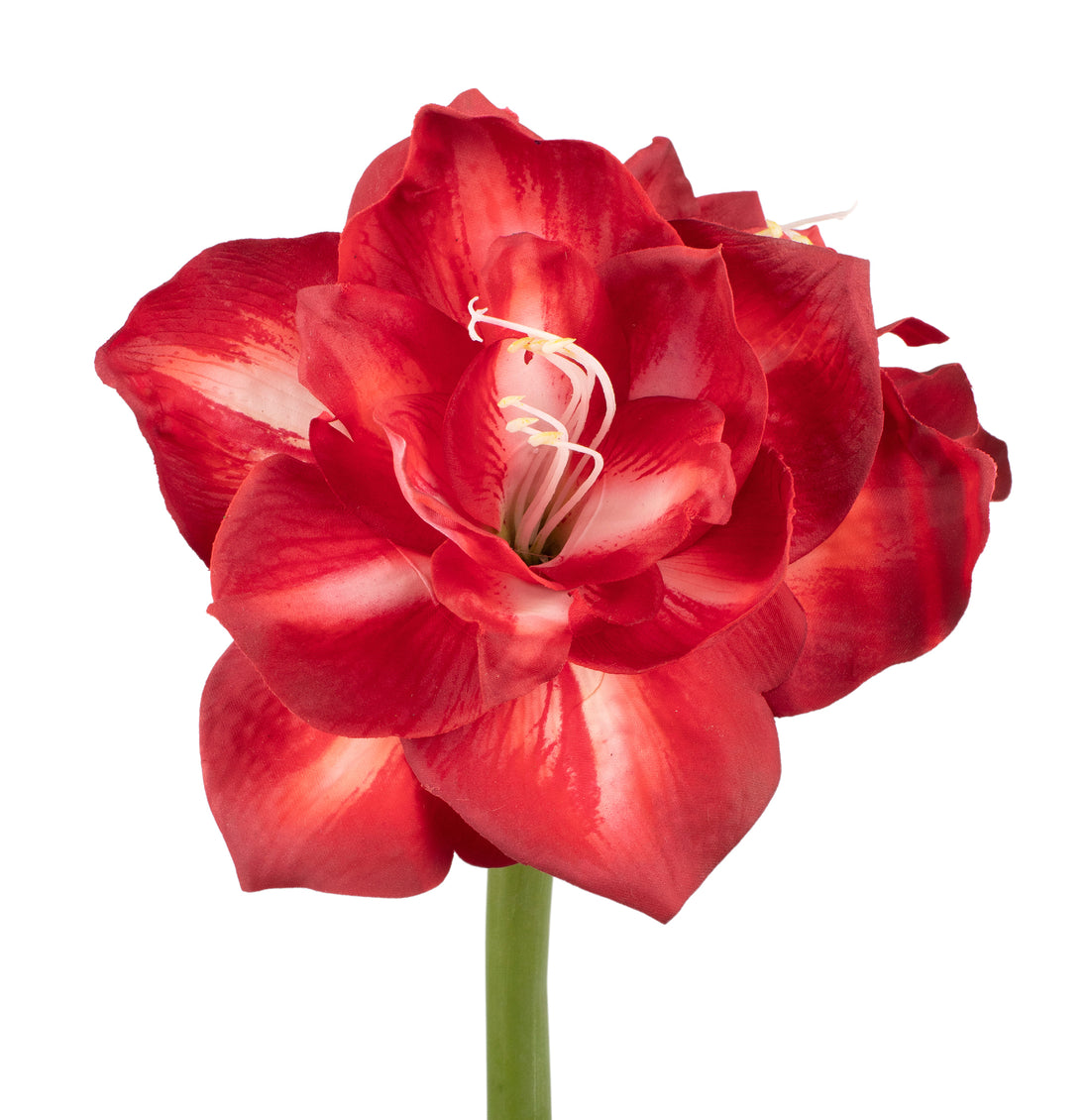 AMARYLLIS 65CM VERMELHA Cod: 3266-VM