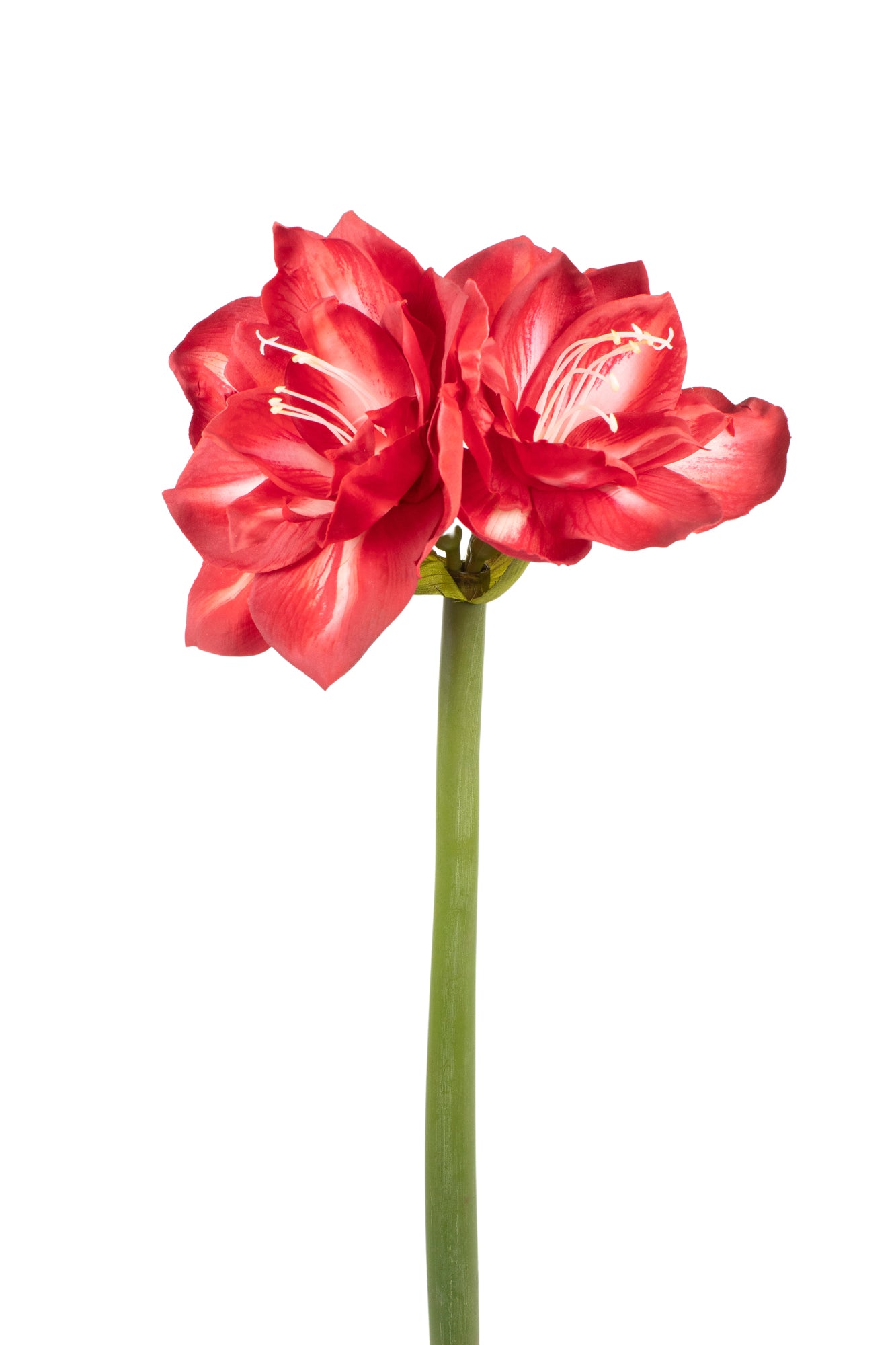 AMARYLLIS 65CM VERMELHA Cod: 3266-VM