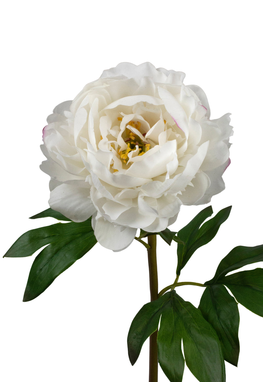 PEONIA REAL TOUCH 59CM BRANCA Cod: 3268-BR