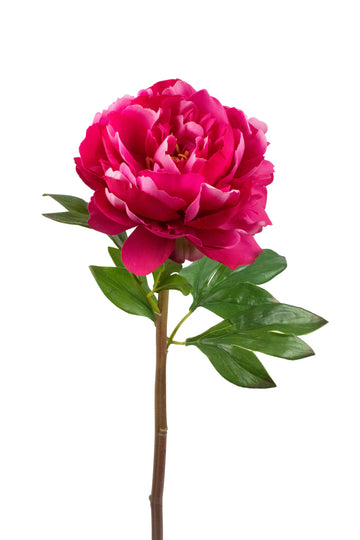 PEONIA REAL TOUCH 59CM FUCSIA Cod: 3268-FU