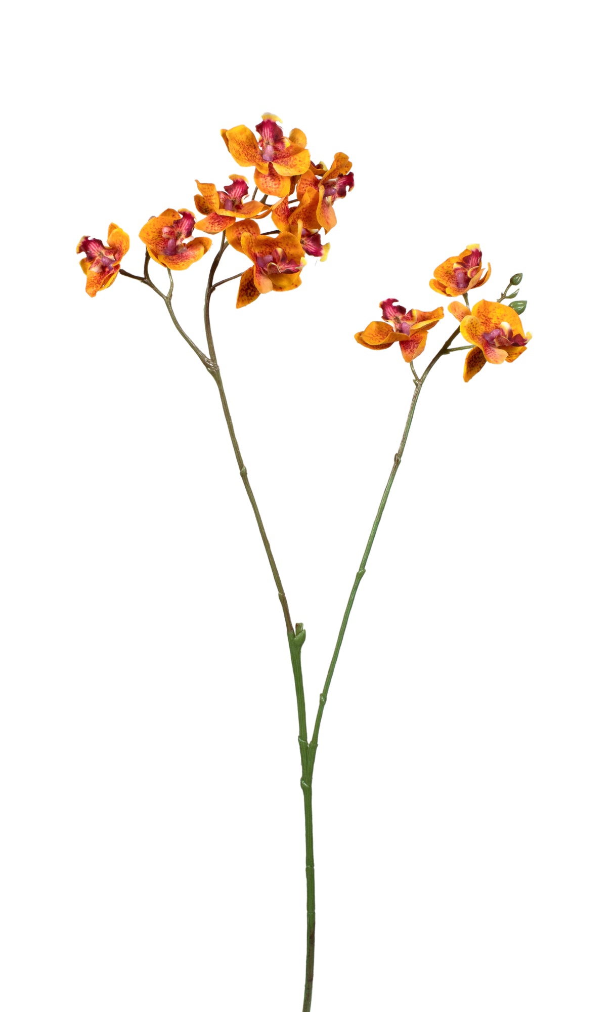 ORQ PHALAENOPSIS MINI 64CM GOLD Cod: 3271-AL