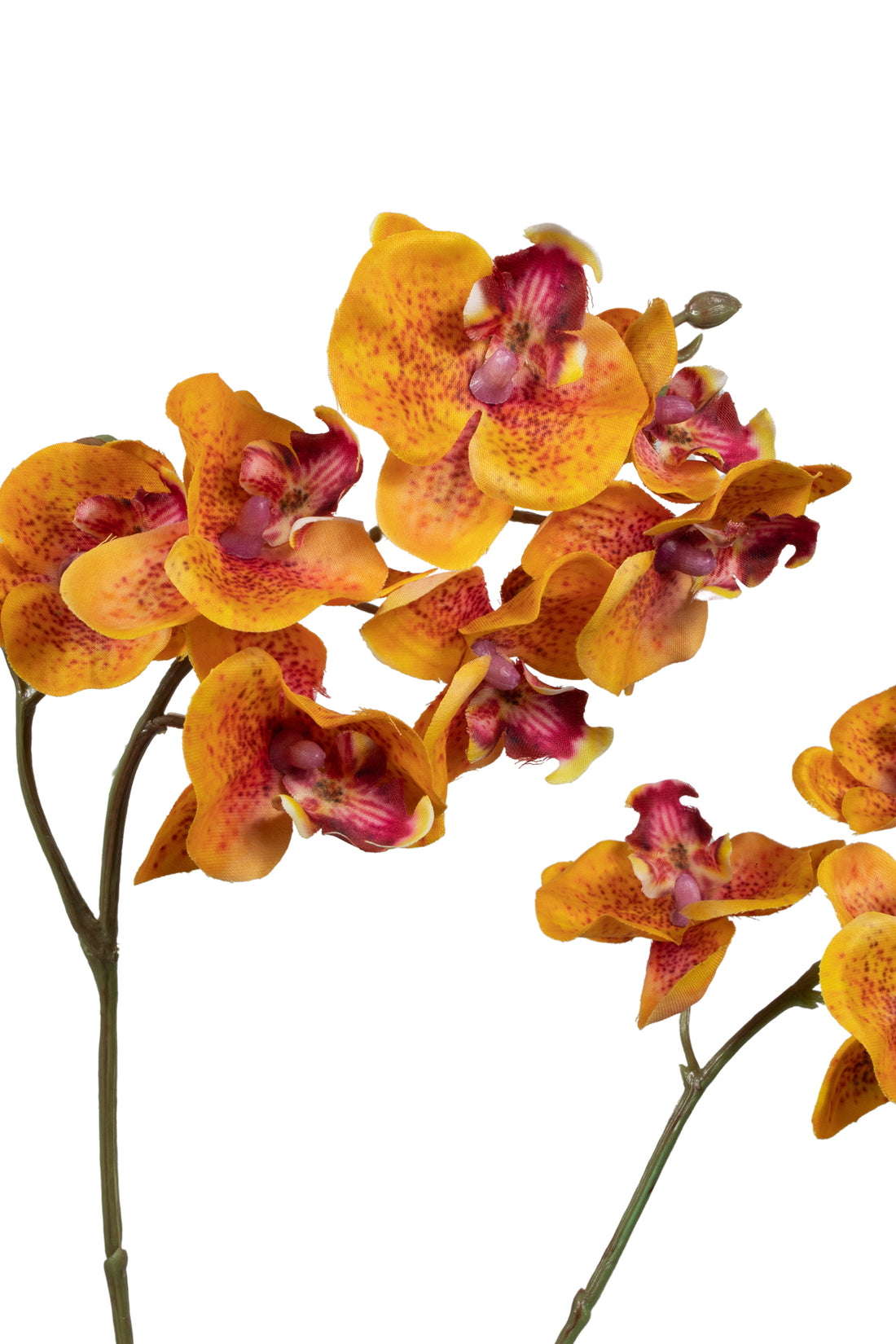 ORQ PHALAENOPSIS MINI 64CM GOLD Cod: 3271-AL