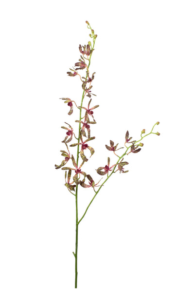 ORQUIDEA RENANTERA 87CM VINHO VD Cod: 3277-BL