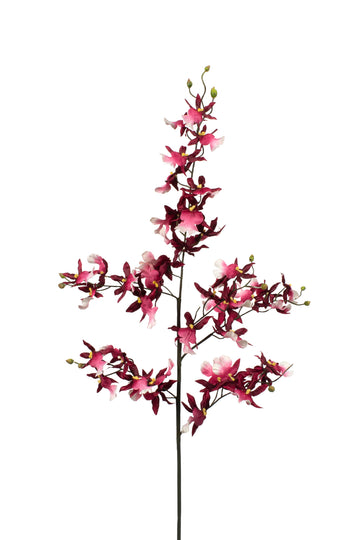 ONCIDIUM SHARRY BABY, 83 CM VINHO Cod: 3278-CH