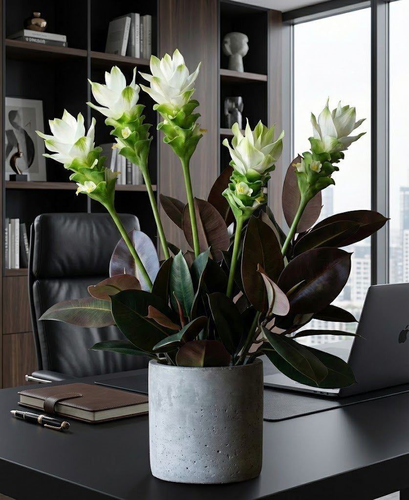 FLOR DE CURCUMA 48CM BR/VD Cod: 3291BRVD