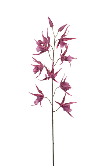 ORQ. ODONTOGLOSSUM VERM FUCSIA 101CM Cod: 3297VP