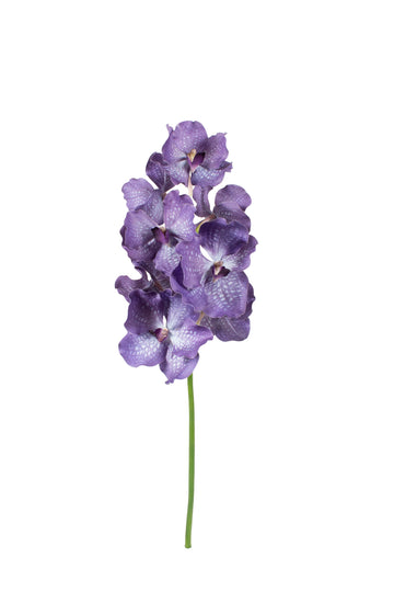 ORQ. VANDA 69CM ROXA Cod: 3298RX