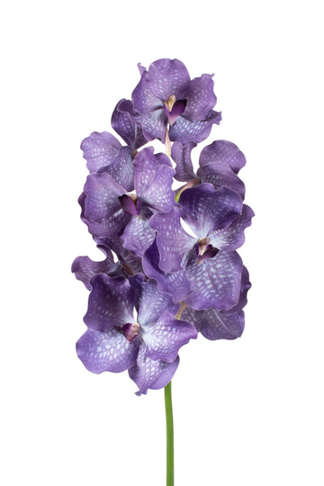 ORQ. VANDA 69CM ROXA Cod: 3298RX