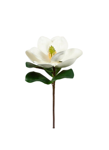 MAGNOLIA HASTE 46CM Cod: 3299