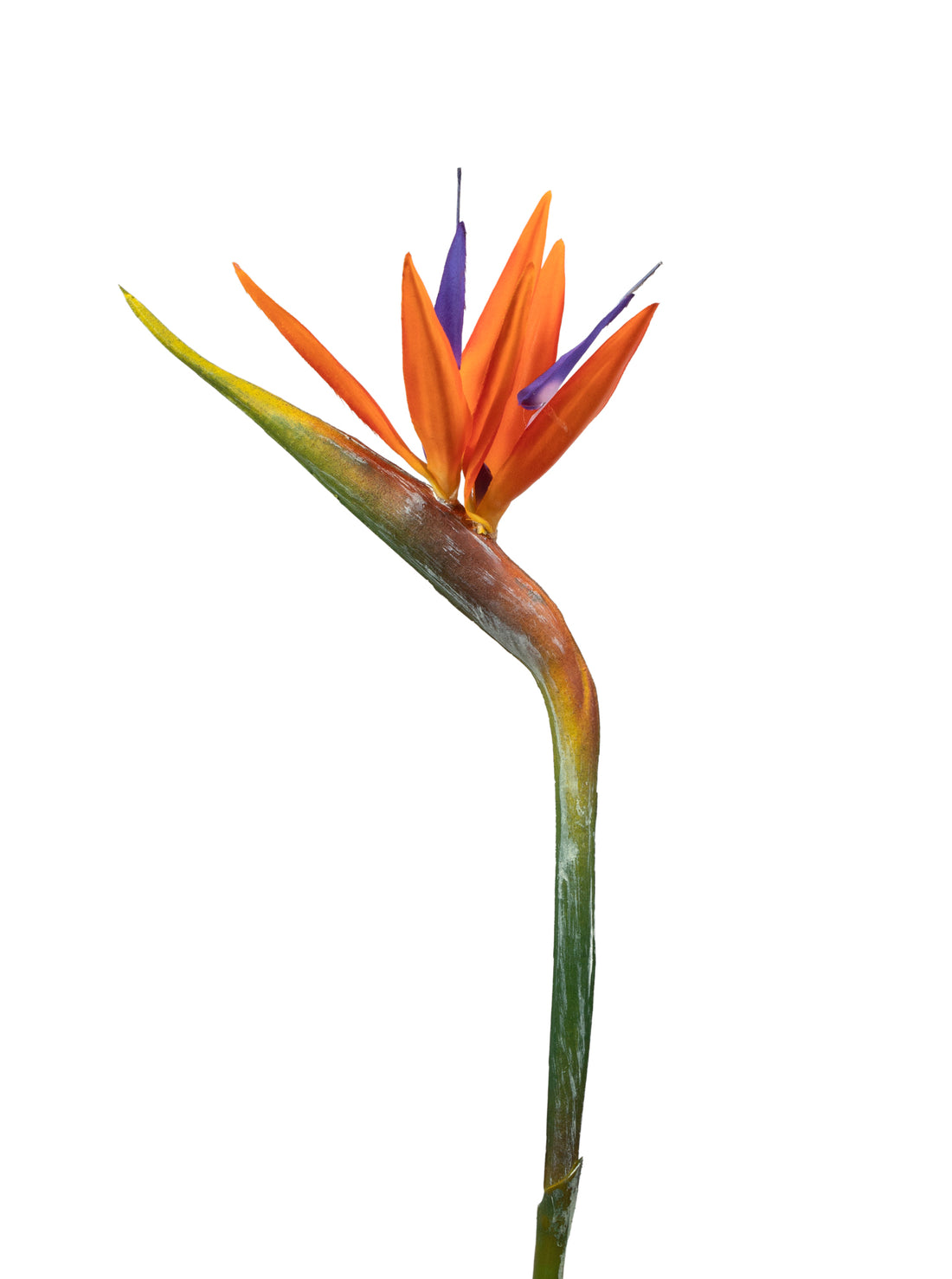 ESTRELITZA FLOR HASTE 95CM LARANJA Cod: 3678*