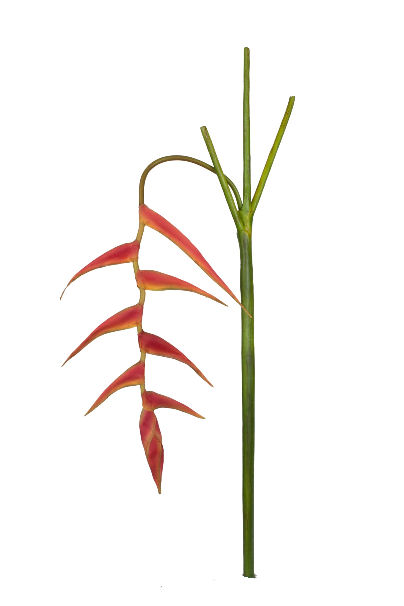 HELICONIA PENDENTE, 106 CM VERMELHA Cod: 3680