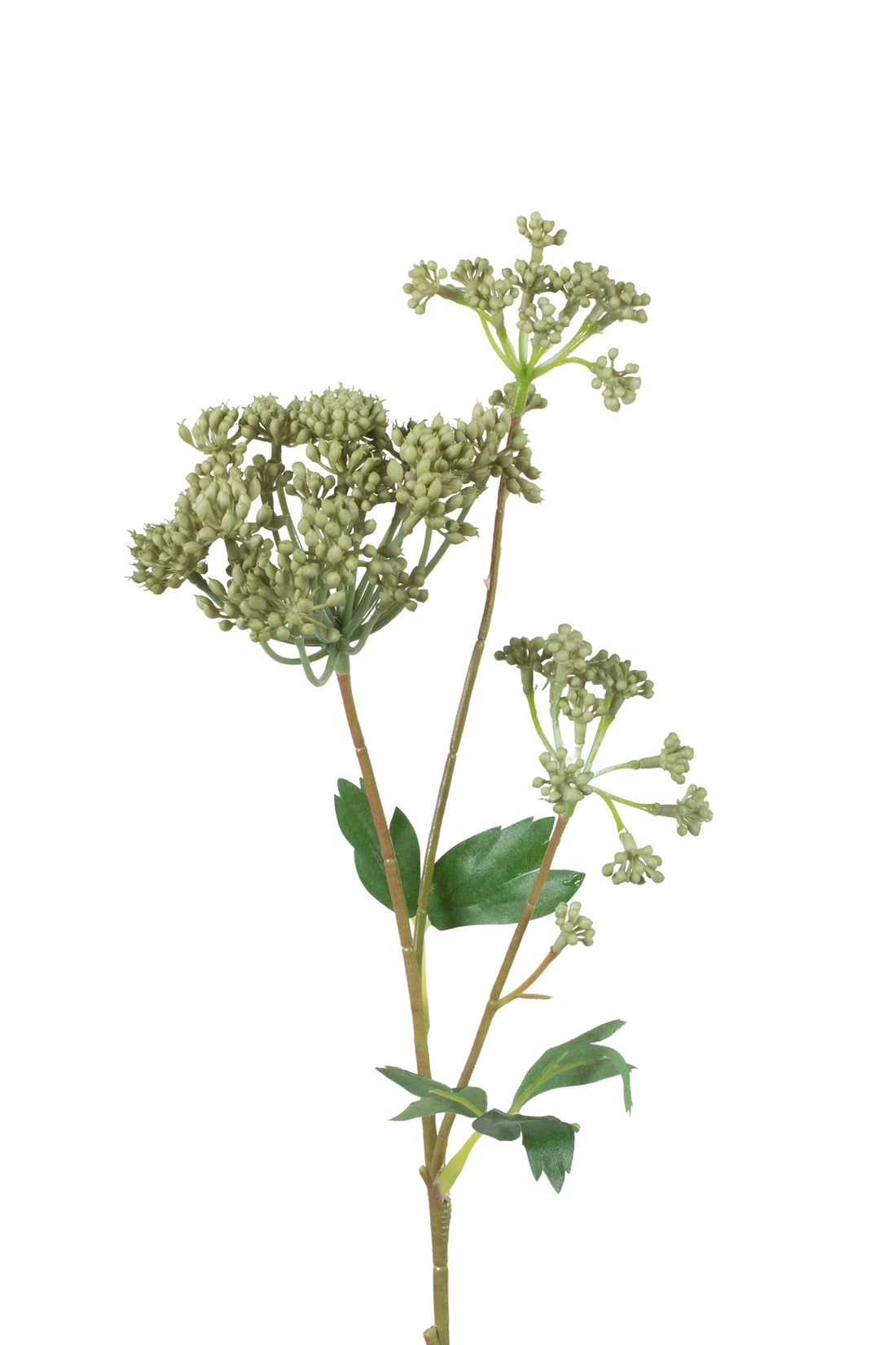 ANGELICA GALHO VERDE 62CM Cod: 3683