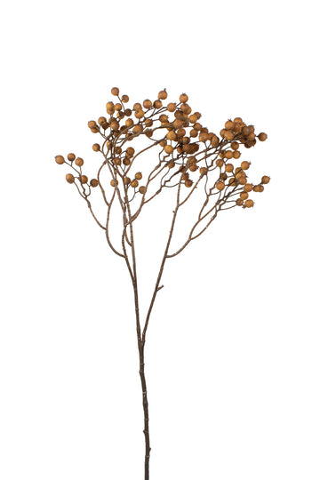BERRIES SECAS GALHO BEGE 78CM (PITOMBA) Cod: 3684