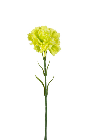 CRAVO VERDE TN 64CM Cod: 3687