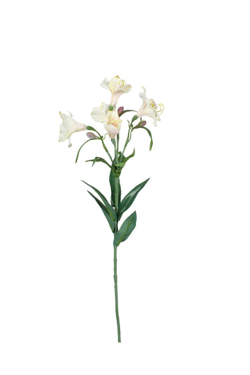 ASTROMELIA BRANCA 74CM Cod: 3690