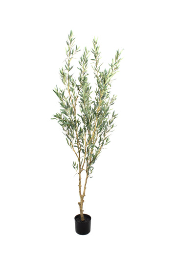 OLIVEIRA EM POTE PVC 195CM Cod: 5560
