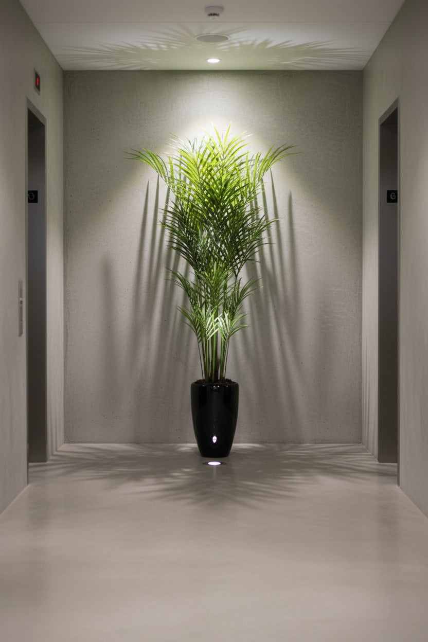 PALMEIRA KENTIA EM POTE PVC 170CM Cod: 5563