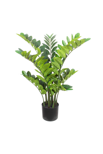 ZAMIOCULCAS EM POTE 75CM Cod: 5568