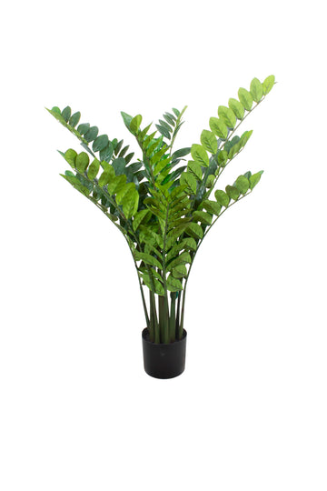 ZAMIOCULCAS EM POTE 110CM Cod: 5569