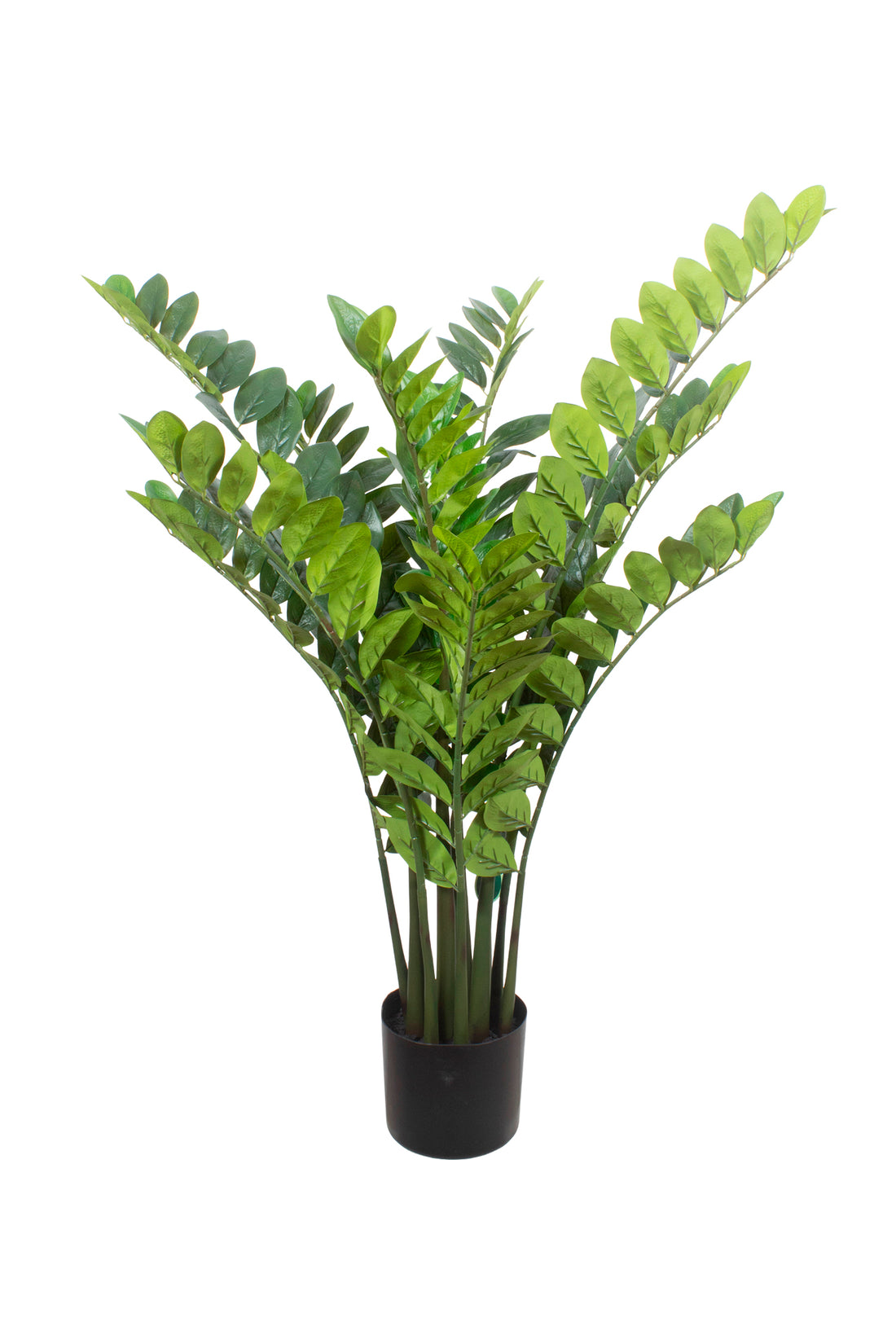 ZAMIOCULCAS EM POTE 110CM Cod: 5569