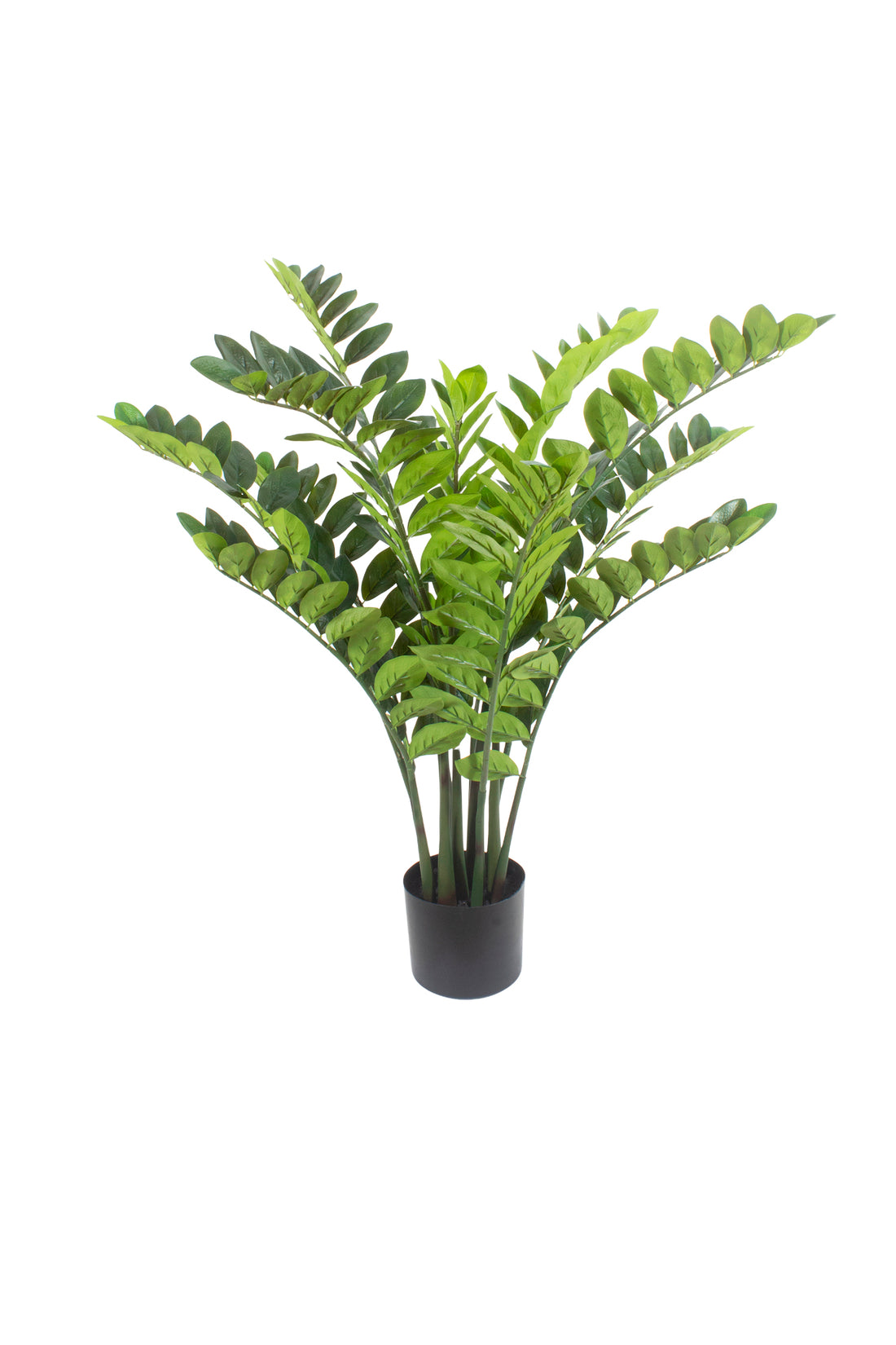 ZAMIOCULCAS EM POTE 110CM Cod: 5569