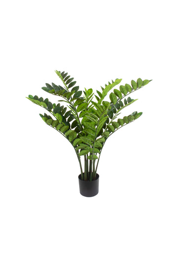 ZAMIOCULCAS EM POTE 110CM Cod: 5569