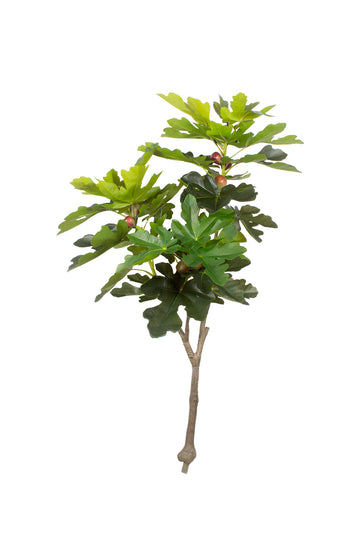 FIGUEIRA 124CM Cod: 5573