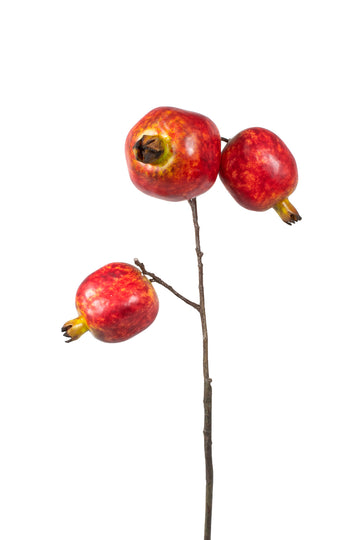 ROMÃ GALHO 53CM Cod: 6444