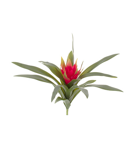 BROMELIA 30CM Cod: 7387