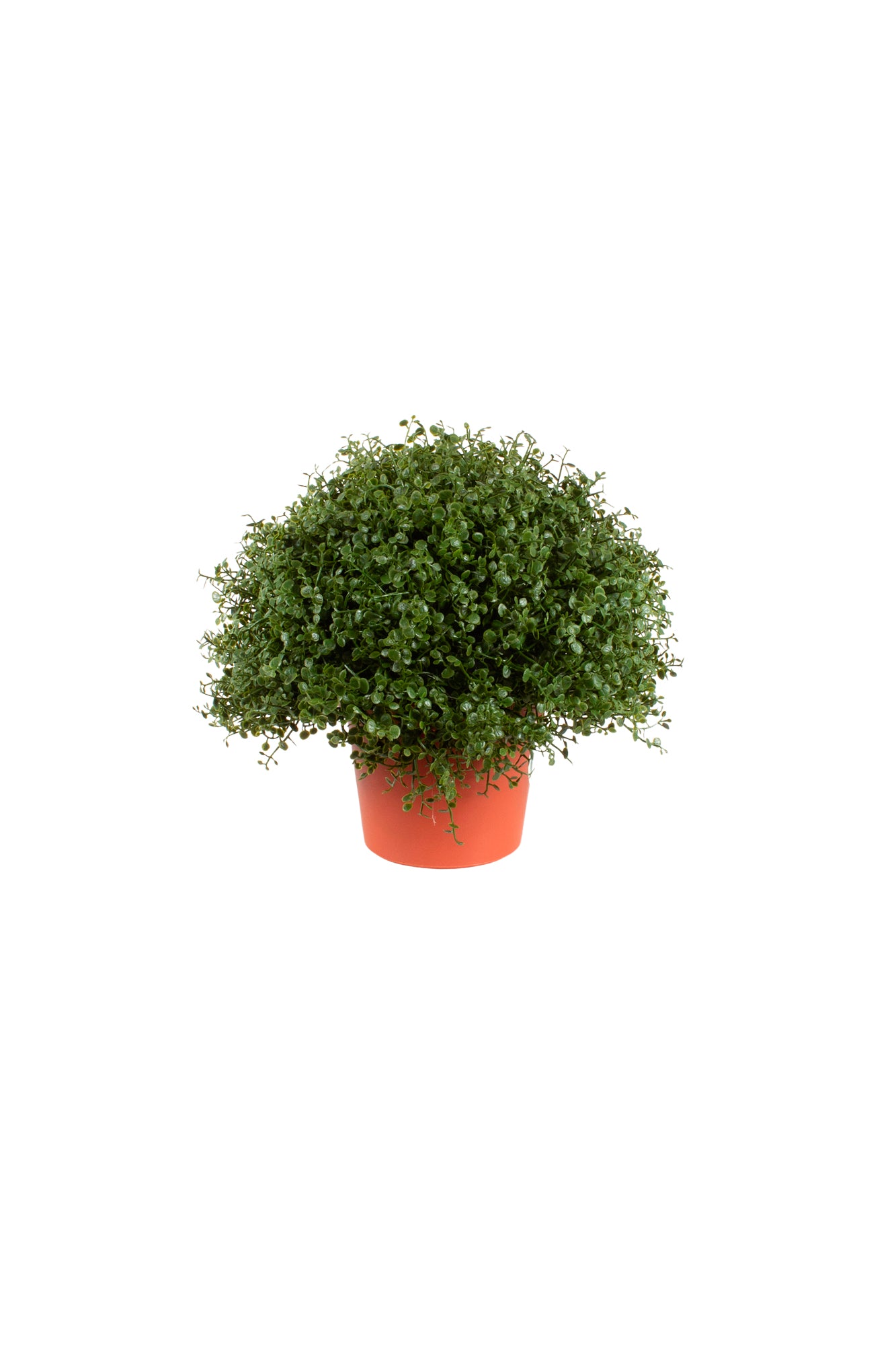 FITOSPORUM EM VPP 20CM Cod: 7792