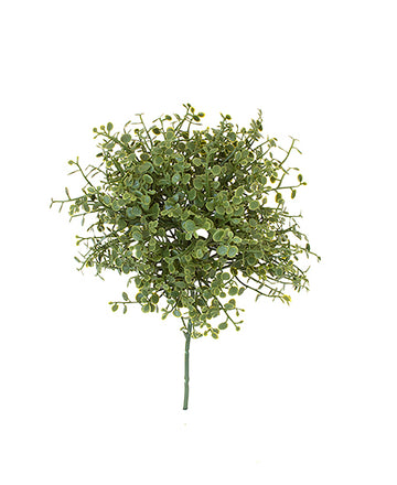 FITOSPORUM PICK 17CM (MÚLT. 3) Cod: 7801*