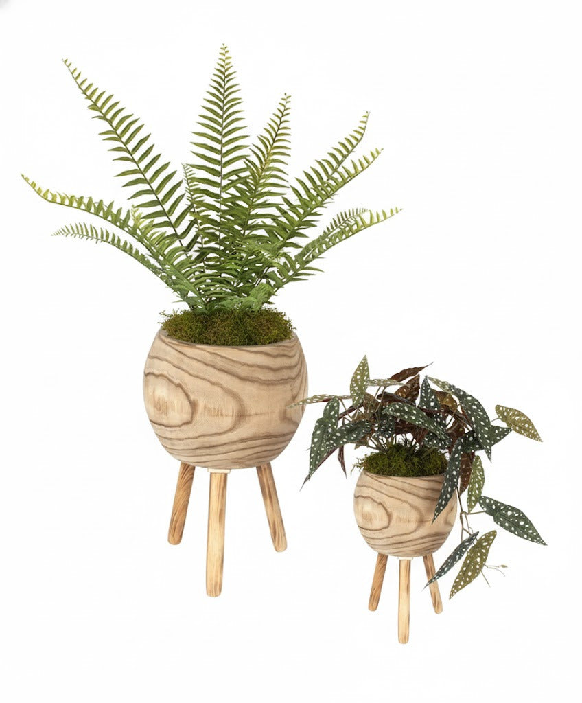 CACHEPOT MADEIRA TRIPÉ KIT C/2 Cod: 8461