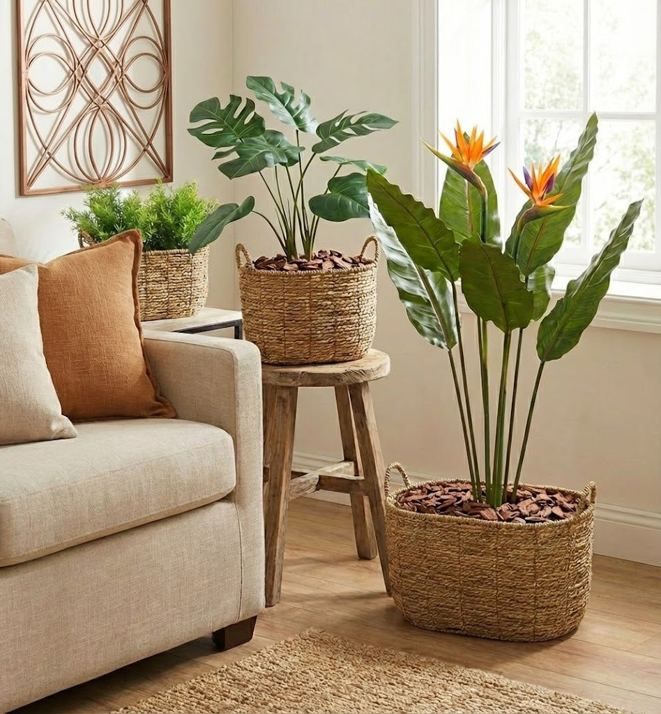 CESTO DE PALHA C/ALÇAS OVAL KIT C/3 Cod: 8469