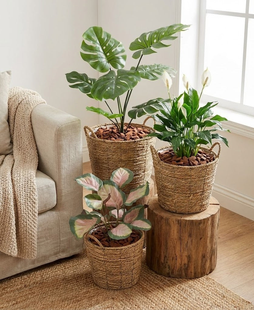 CACHEPOT PALHA C/ALÇAS KIT C/3 Cod: 8470